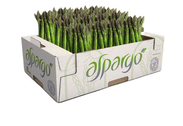 Asparagi Aspargò